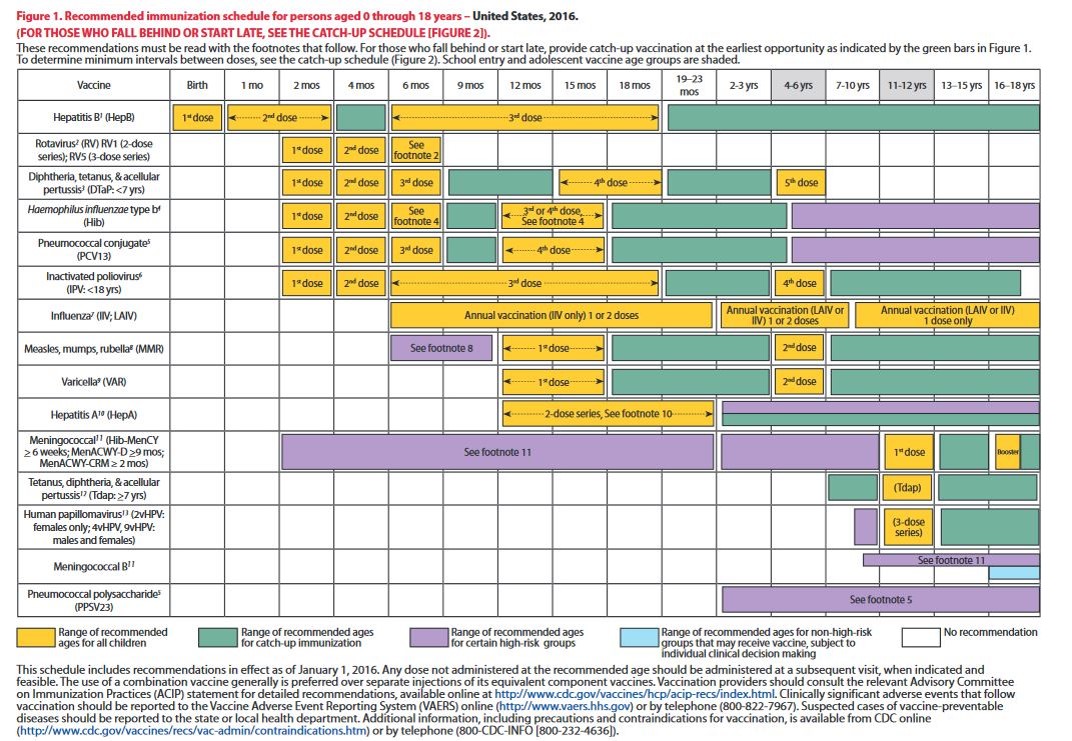 cdc immunization chart